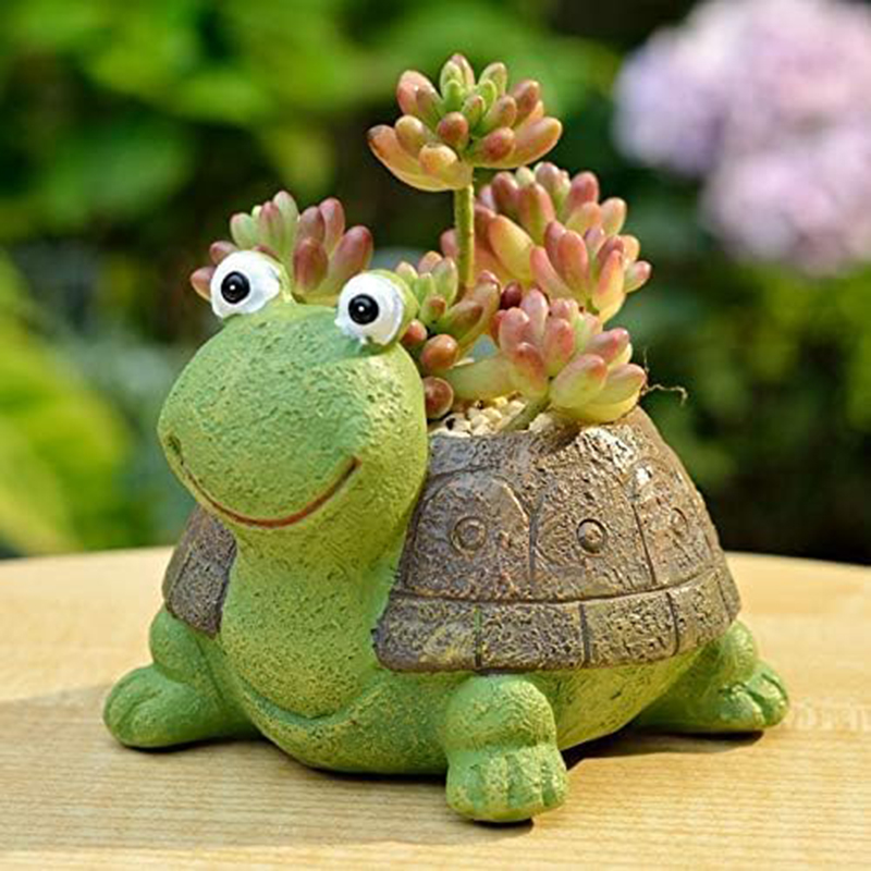 Plant Desk Mini - Maceta suculenta de tortuga para niñas,