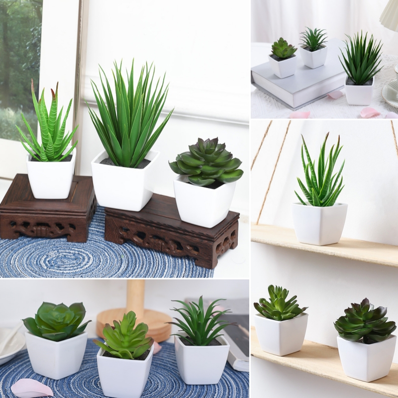 Plant Desk Mini - (Un juego de 3 piezas) Mini