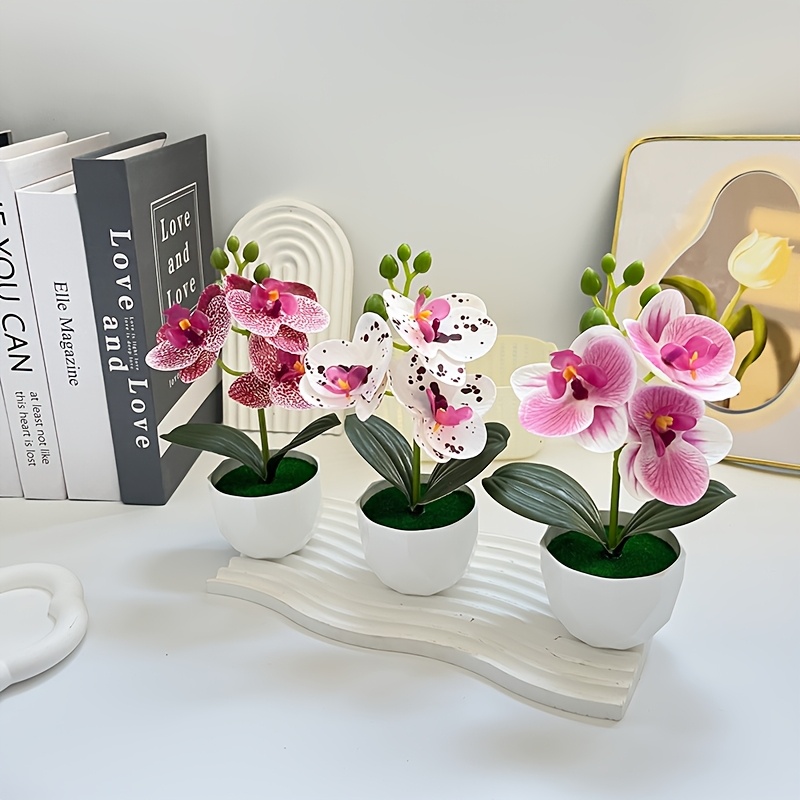 3 Piezas de Orquídeas Phalaeno - Plant Desk Mini reseña y precio
