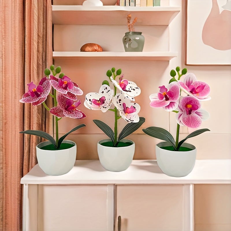 3 Piezas de Orquídeas Phalaeno - Plant Desk Mini reseña y precio