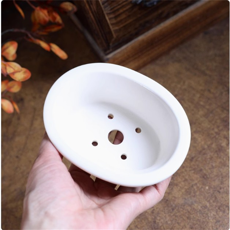 Maceta de bonsái ovalada blanc - Plant Desk Mini reseña y precio
