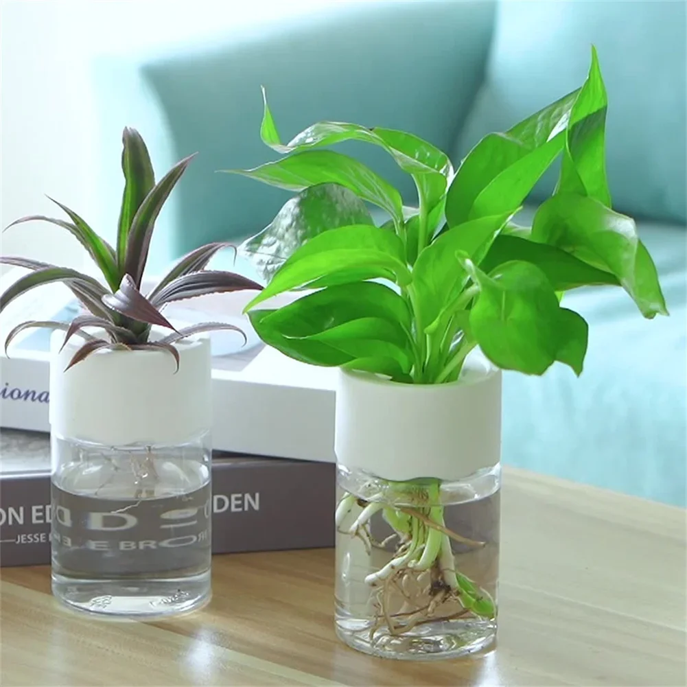 Mini Maceta Hidropónica Transp - Plant Desk Mini reseña y precio