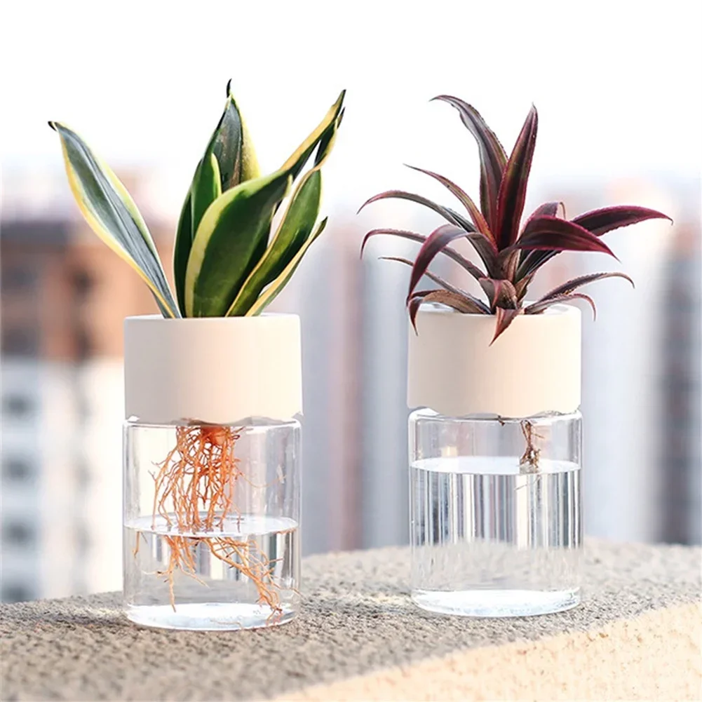 Mini Maceta Hidropónica Transp - Plant Desk Mini reseña y precio