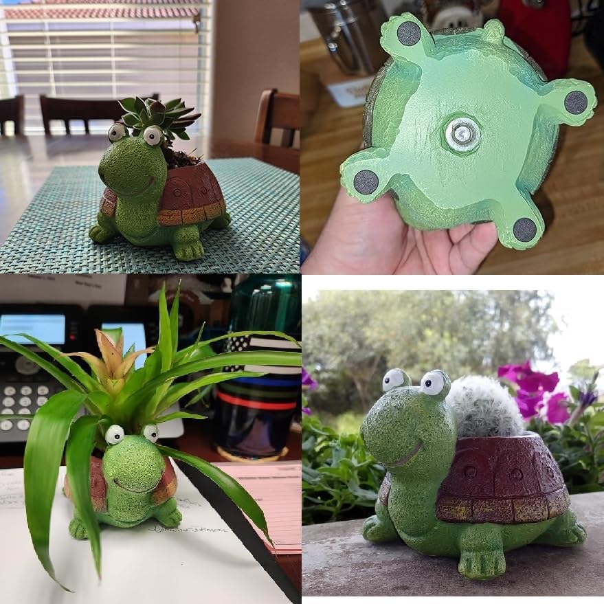 Maceta suculenta de tortuga pa - Plant Desk Mini reseña y precio