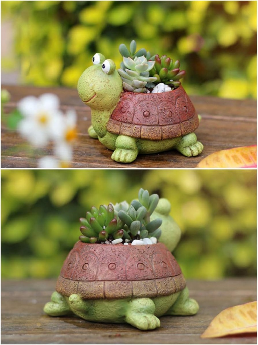 Maceta suculenta de tortuga pa - Plant Desk Mini reseña y precio