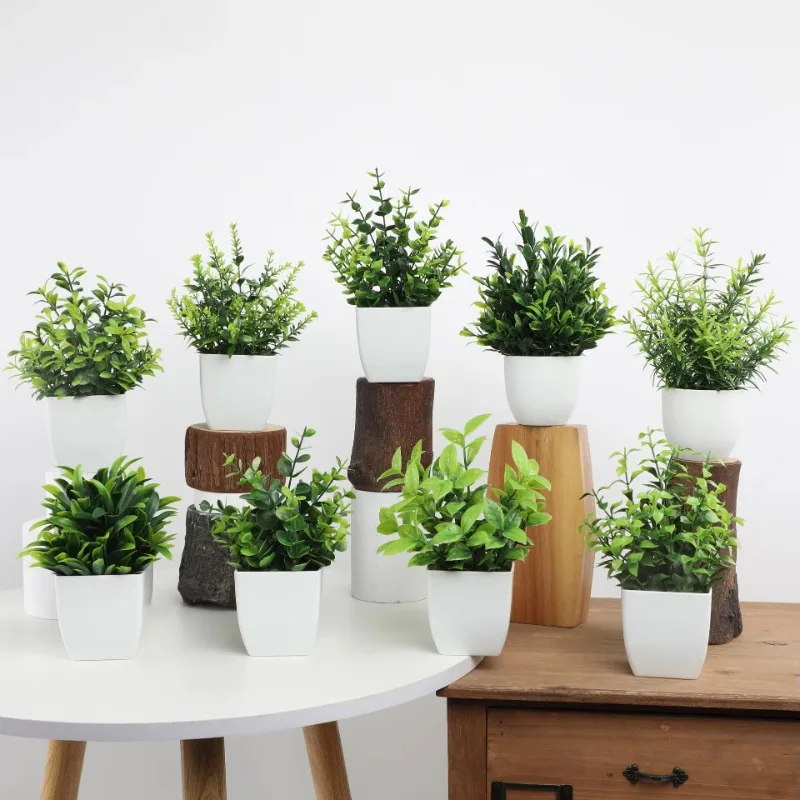 Venta al por mayor OEM/ODM Min - Plant Desk Mini reseña y precio