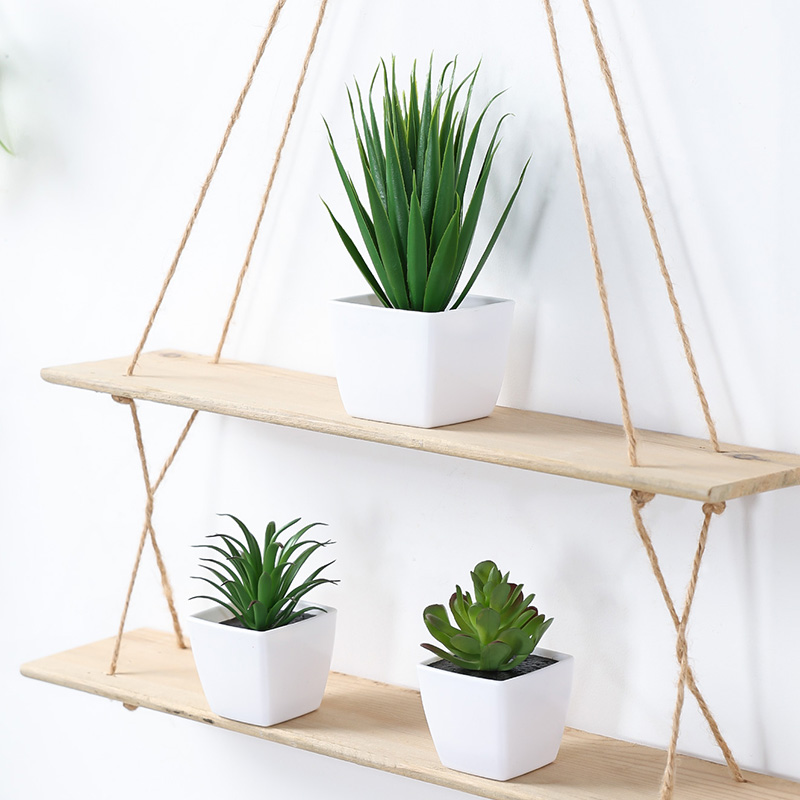 (Un juego de 3 piezas) Mini pl - Plant Desk Mini reseña y precio
