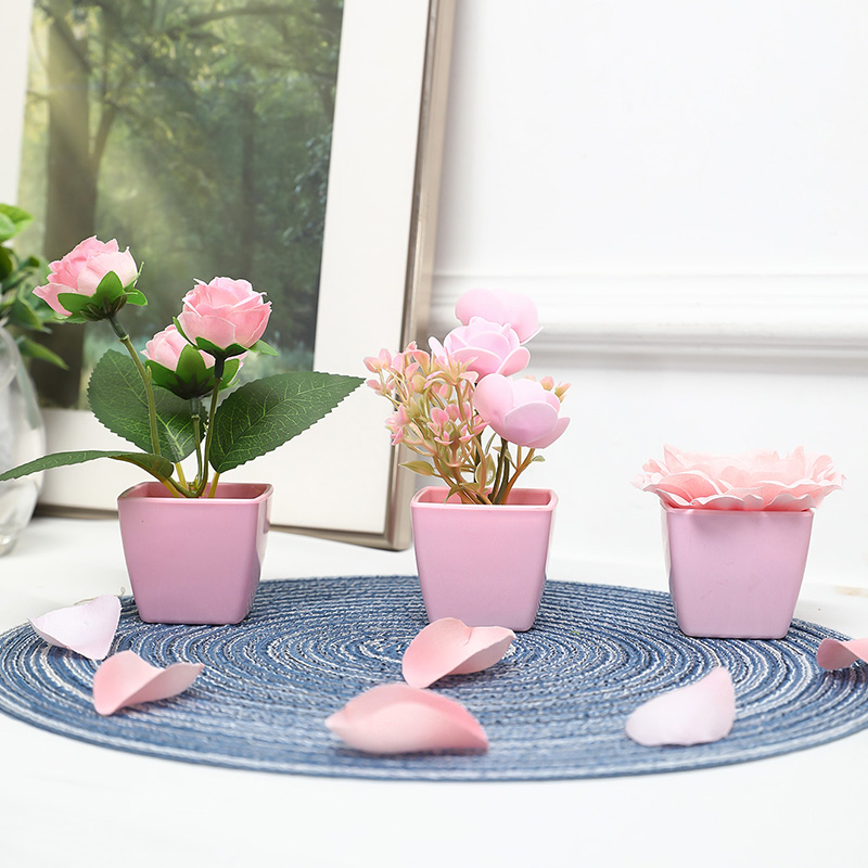 (Un juego de 3 piezas) Mini pl - Plant Desk Mini reseña y precio
